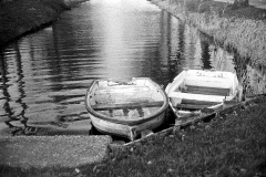 Film: Fomapan 400