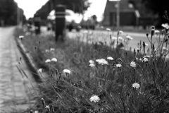 Yashica-TL-14