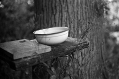 Yashica-TL-17
