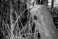 Zorki 4 + Jupiter 2.8/55mm.Gescand met Plustek OpticFilm 7200