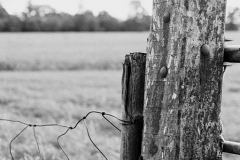 weiland-22-september-2015-02