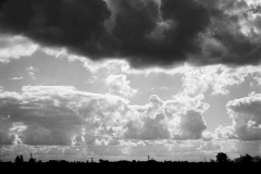 weiland-22-september-2015-03